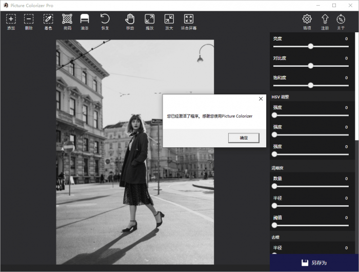 Picture Colorizer v2.4.0-哈嘉网络