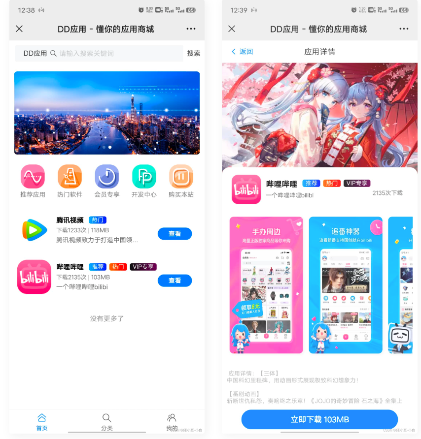 D1112 DD应用系统软件库网站源码-哈嘉网络